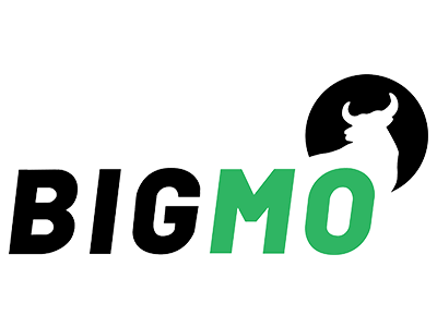 BIG MO Review 2025 | Information about BIG MO Forex Broker - BrokersView
